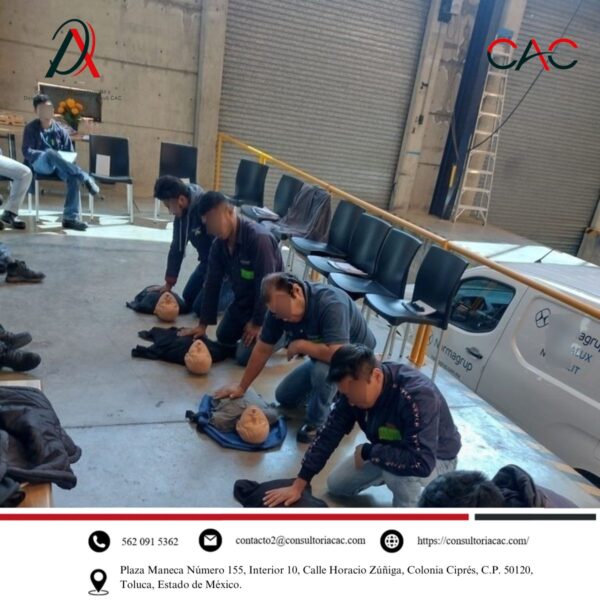 Nuestras actividades