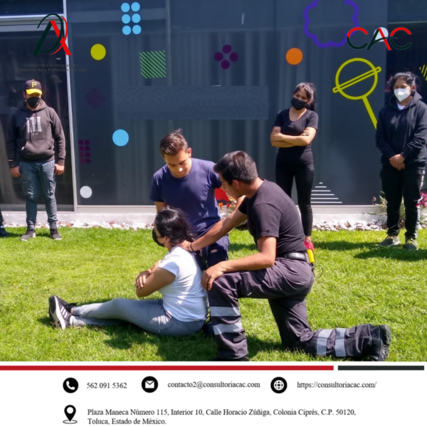 Nuestras actividades