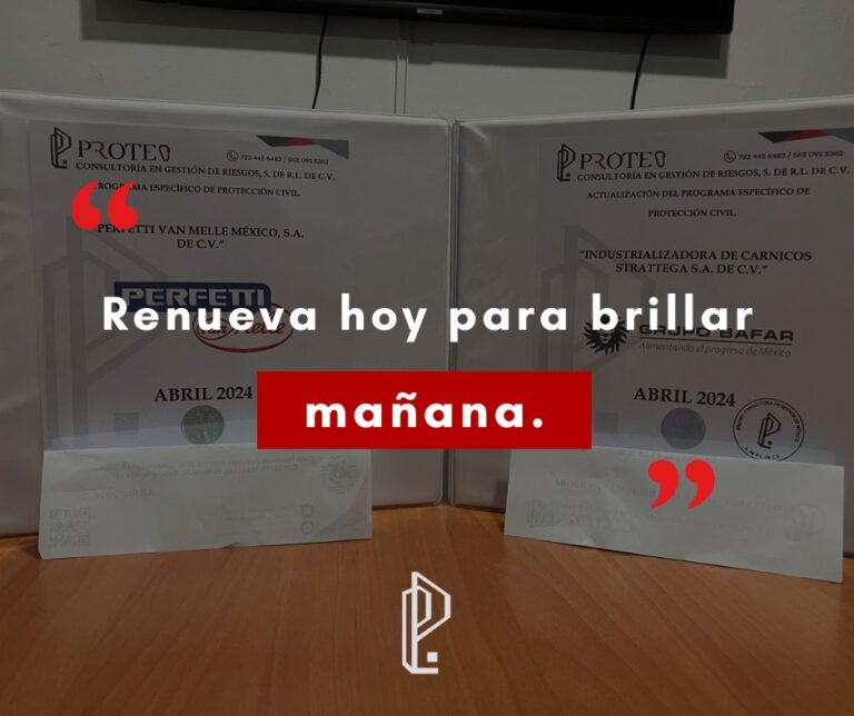 Lee más sobre el artículo Nuestras actividades