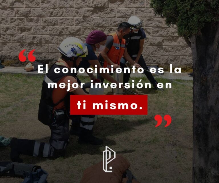 Lee más sobre el artículo Nuestras actividades