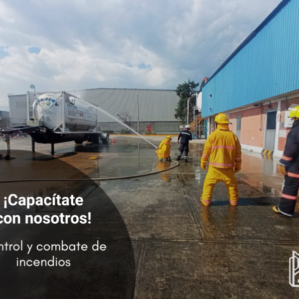 Nuestras actividades