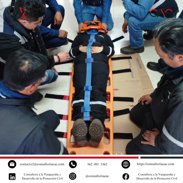 Nuestras actividades