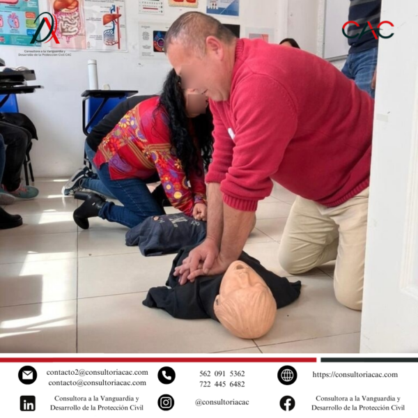 Nuestras actividades