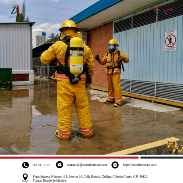 Nuestras actividades