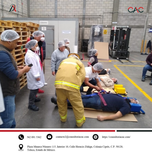 Nuestras actividades