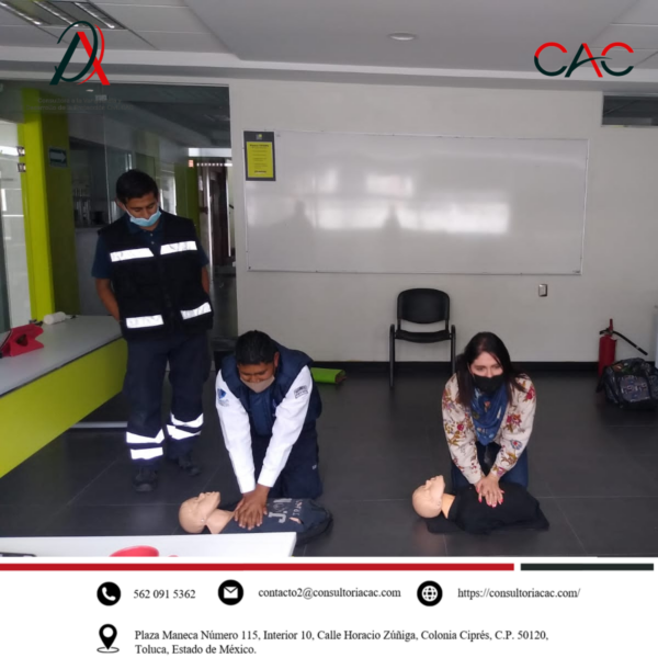 Nuestras actividades