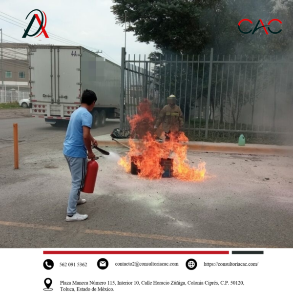 Nuestras actividades