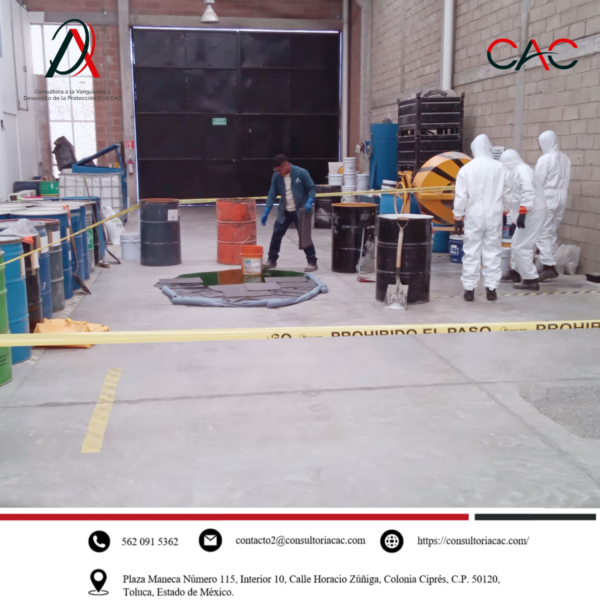 Nuestras actividades