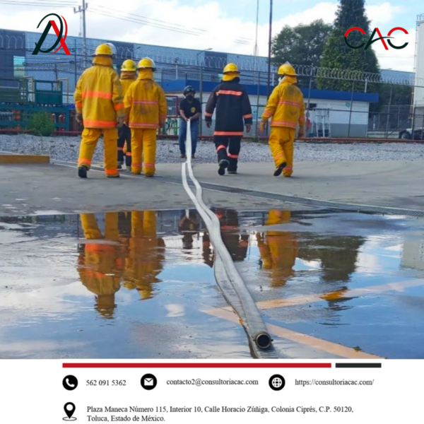 Nuestras actividades