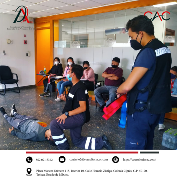 Nuestras actividades