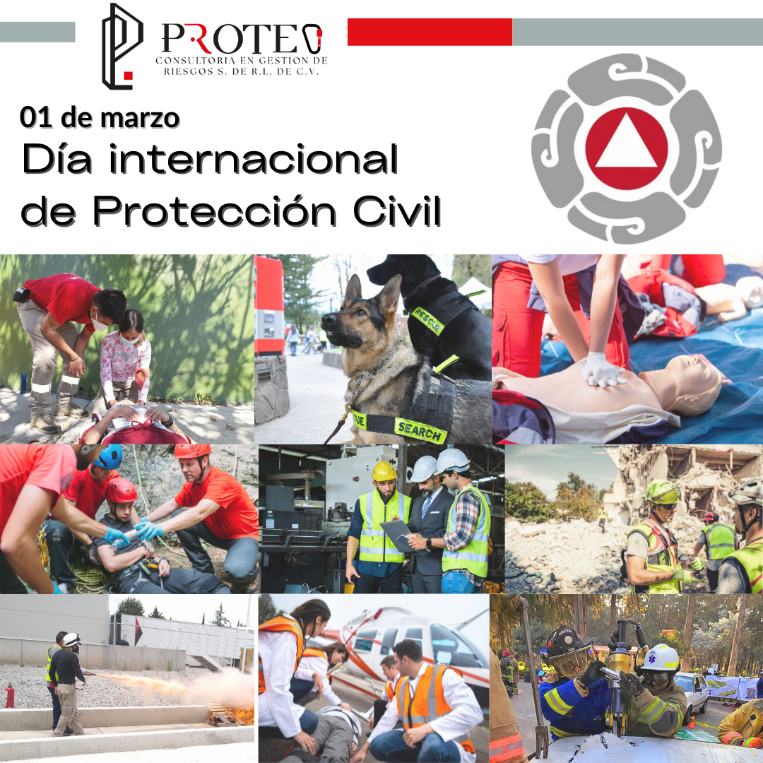 Lee más sobre el artículo DIA INTERNACIONAL DE LA PROTECCIÓN CIVIL