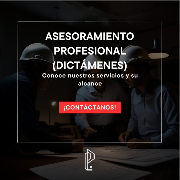 Asesoramiento profesional (dictámenes)