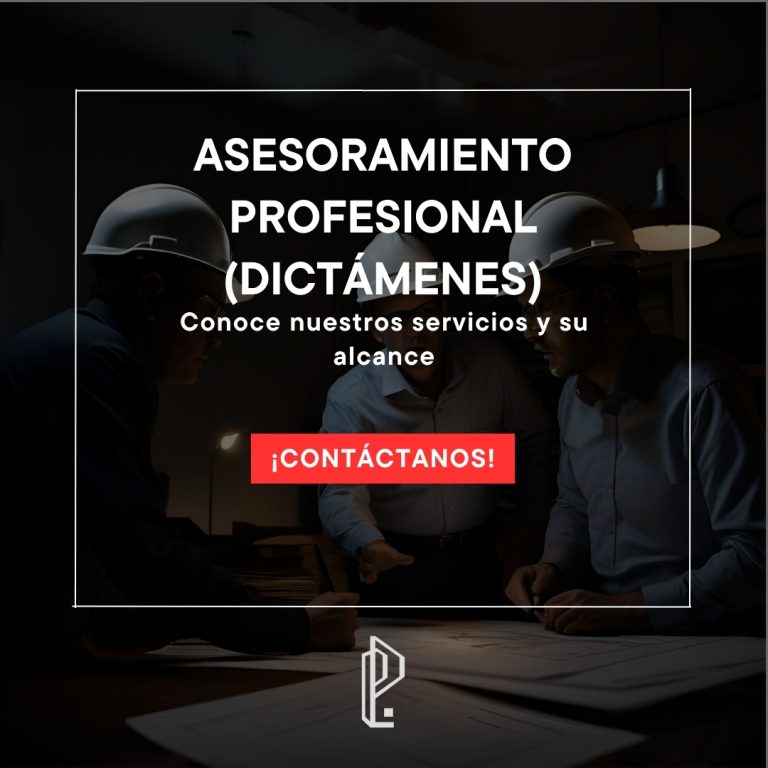 Lee más sobre el artículo Asesoramiento profesional (dictámenes)