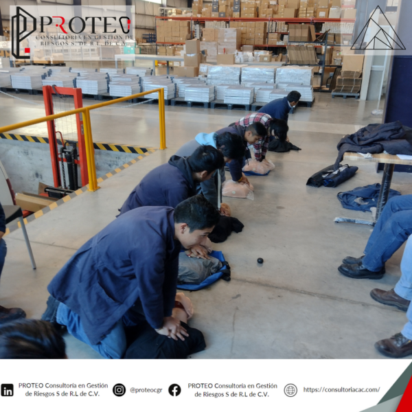 Nuestras actividades