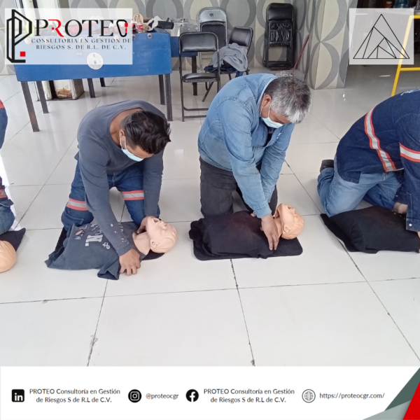 Nuestras actividades