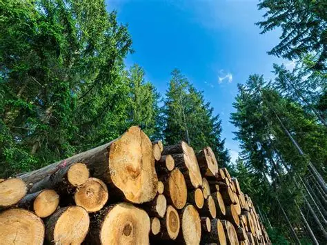 Transformación forestal y cambio de uso de suelo