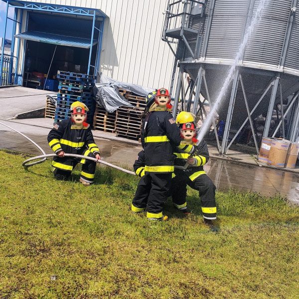 WhatsApp Image 2025-10-29 at 1.25.04 PM(1)