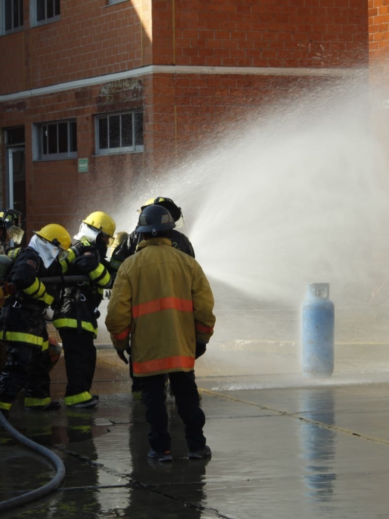 WhatsApp Image 2026-03-10 at 17.21.51