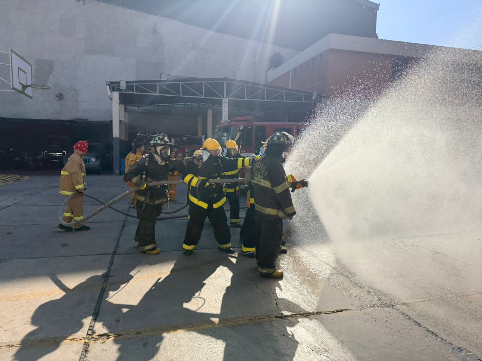 WhatsApp Image 2026-03-13 at 11.30.24 (4)