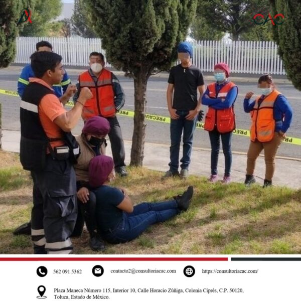 Nuestras actividades