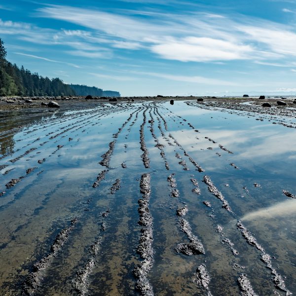 Estudio Geológico: Evaluación del terreno y riesgos del subsuelo para construcción y Protección Civil
