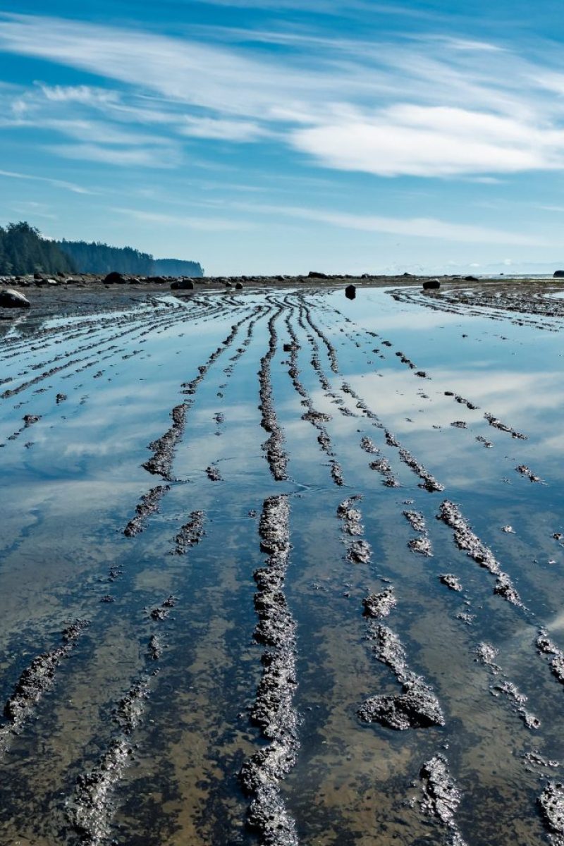 Body of Water Near Green Trees Under Blue Sky