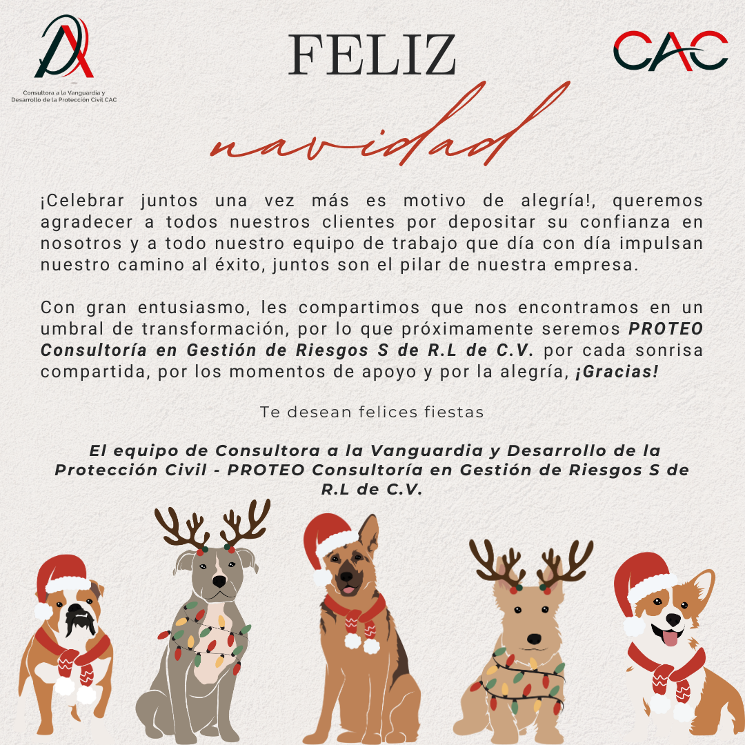 Lee más sobre el artículo Feliz navidad